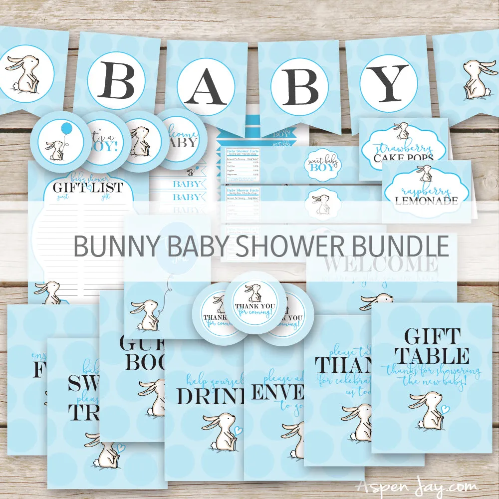 Blue Bunny Baby Shower Package