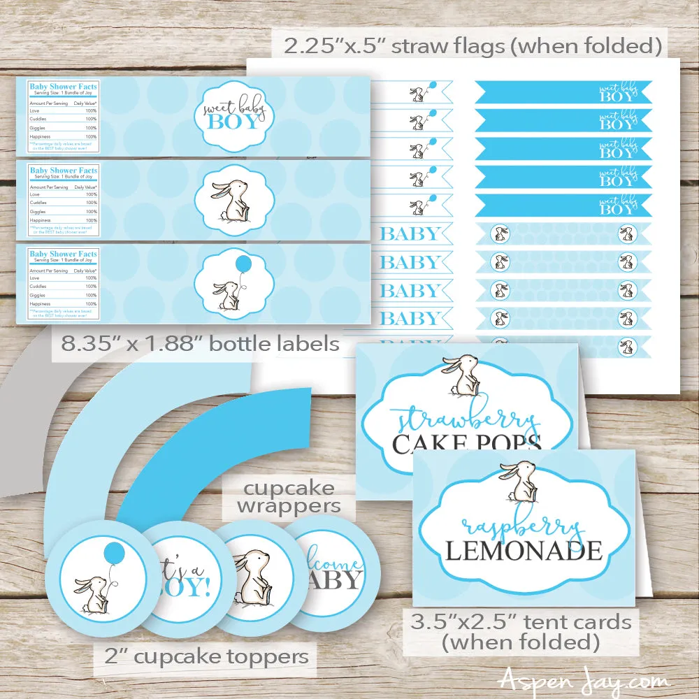 Blue Bunny Baby Shower Package